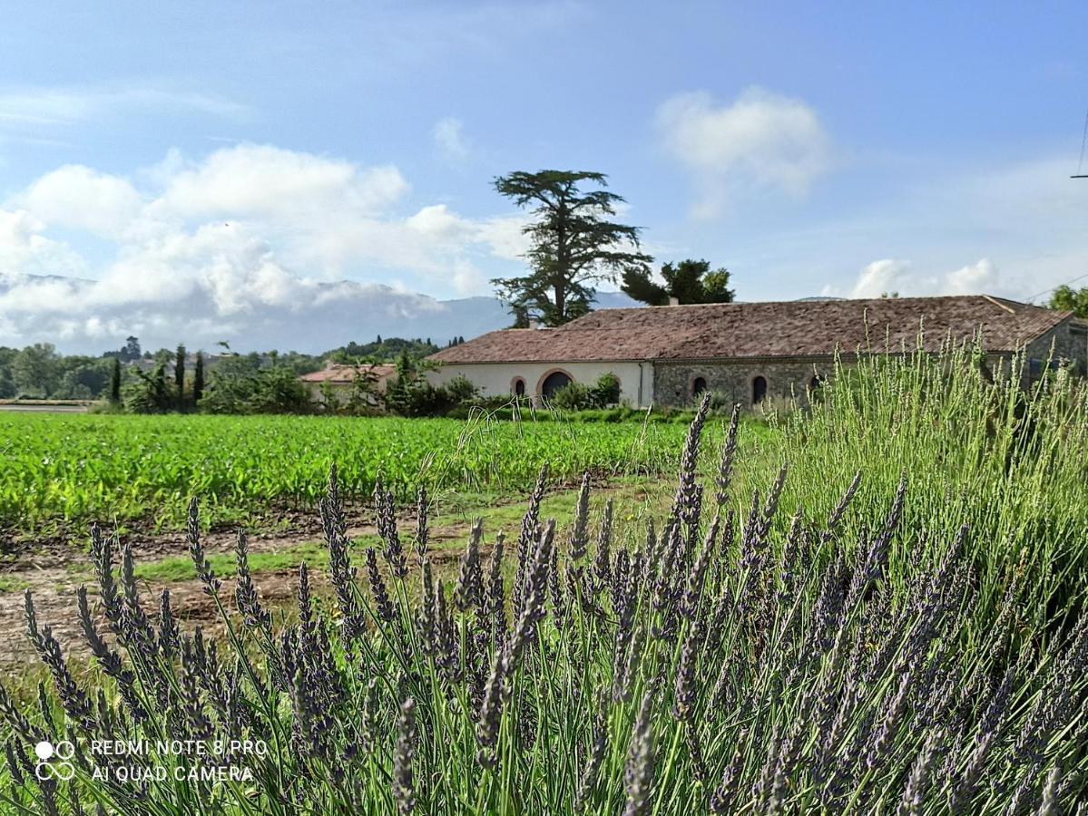 La Boheme Bed & Breakfast Charols Dış mekan fotoğraf